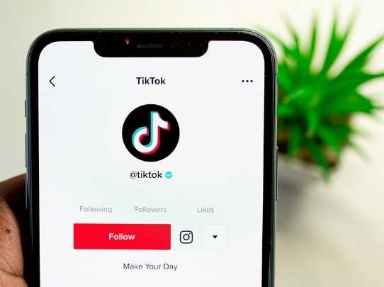 Business Creative Hub – TikTok offers an analysis of trends for brands