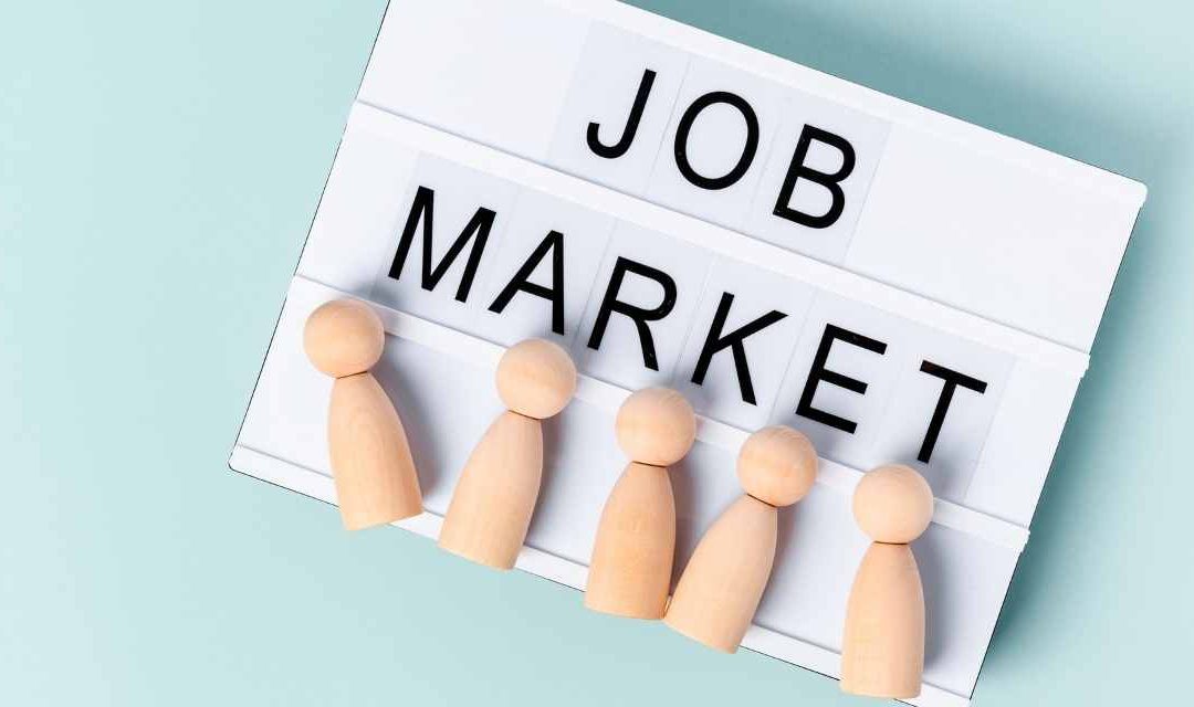 Sri Lanka's Job Market