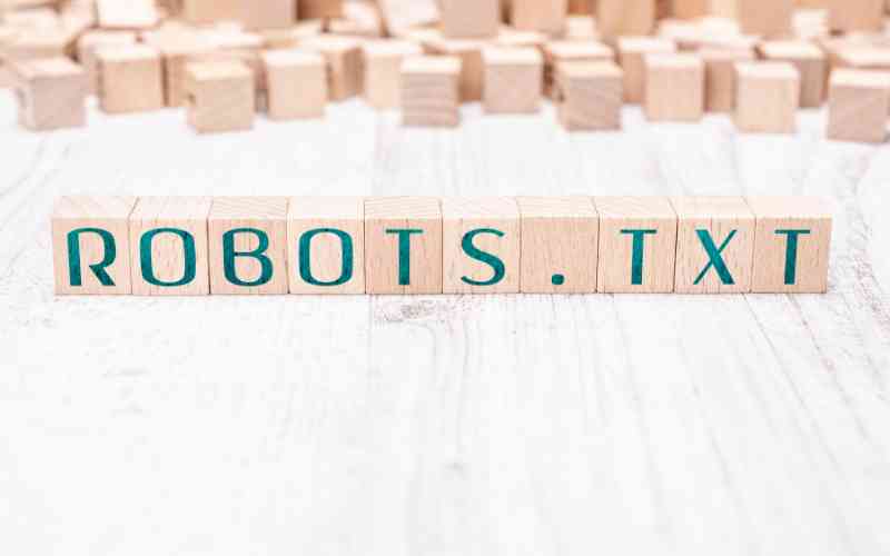 How to use robots.txt to prevent duplicate content issues